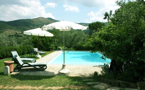 Collina dei Fiori: Agua, Planta, Cielo, Nube, Paraguas, Azur, Piscina, Sombra, Mueble Para Exteriores, Árbol