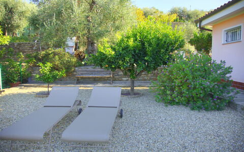 Casa Ilaria - Diano Marina: Propiedad, Vegetación, Yarda, Jardín, Bienes Raíces, Patio Interior, Casa, Árbol, Botánica, Paisaje