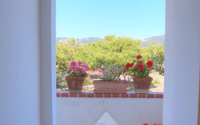 Alojamiento:&nbsp;Flowers Of Andora - Rose