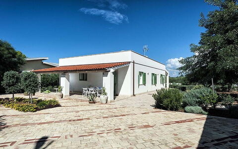 Bianca: Arbusto, Barrio Residencial, Casa, Techo, Cobertura Del Suelo, Jardín, Sombra, Inmuebles, Paisajismo