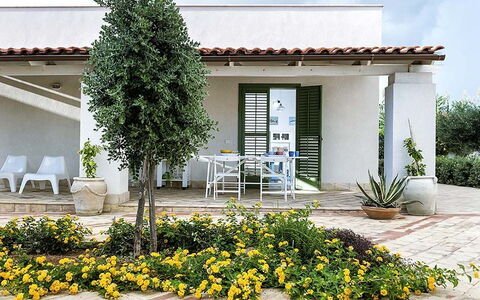 Bianca: Arbusto, Jardín, Sombra, Maceta, Paisajismo, Yarda, Planta De Casa, Patio, Patio Interior