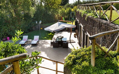 Eden Retreat: Planta, Planta De La Comunidad, Botánica, Árbol, Vegetación, El Terreno Del Lote, Mueble Para Exteriores, Hierba, Sombra, Biome