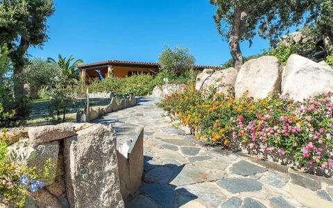 Residence Villa Smeralda: Planta, Cielo, Propiedad, Planta De La Comunidad, Flor, Edificio, Árbol, Paisaje Natural, Base, Superficie De La Carretera