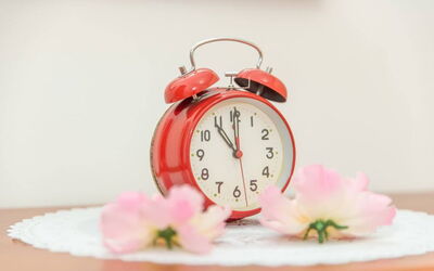 Alojamiento:&nbsp;Residence Villa Smeralda 1