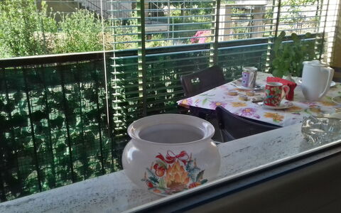 Corallo: Mesa, Casa, Vajilla, Mueble, Casa, Taza, Jardín, Vaso, Utensilios Para Servir, Planta