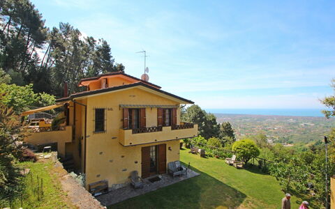 Villa La Collinetta: Cielo, Planta, Edificio, Nube, Propiedad, Ventana, Árbol, El Terreno Del Lote, Casa, Madera