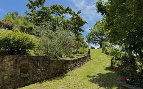 Anfora!!: Hierba, Verde, Árbol, Hoja, Vegetación, Paisaje Natural, Arbusto, Paisaje, Área Rural
