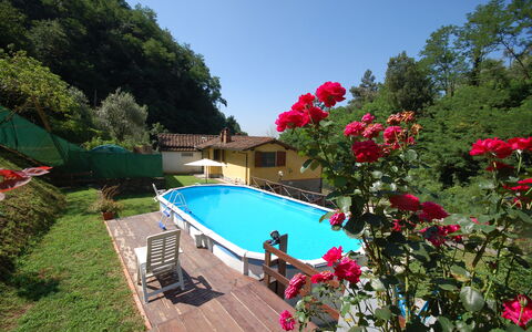Casa Milena: Piscina, Propiedad, Botánica, Flor, Ocio, Recurso, Planta, Jardín, Vacaciones, Villa