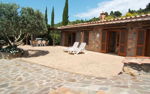Raggio Di Sole Sull'argentario: Propiedad, Edificio, Casa, Inmuebles, Patio, Losa, Casa, Bienes Raíces, Patio, Árbol