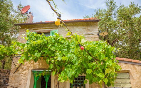 Country Home Il Passatempo: Árbol, Propiedad, Planta, Hoja, Flor, Plantas Leñosas, Casa, Bienes Raíces, Ventana, Casa