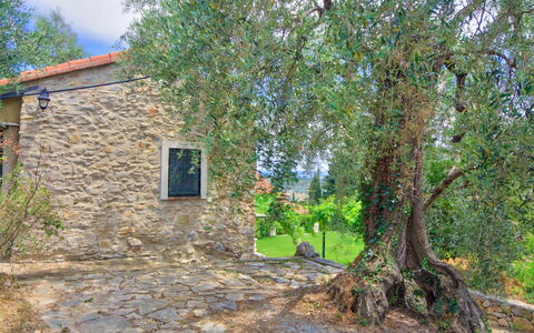 Country Home Il Passatempo: Árbol, Propiedad, Casa, Pared, Bienes Raíces, Cabaña, Plantas Leñosas, Planta, El Terreno Del Lote, Área Rural