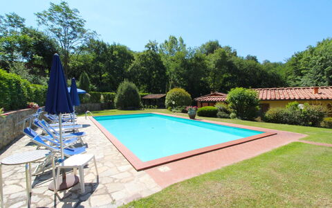 Villa le Balze: Planta, Cielo, Propiedad, Piscina, Sombra, Árbol, Agua, Silla, Hierba, Ocio