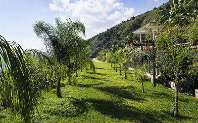 Buena Vista