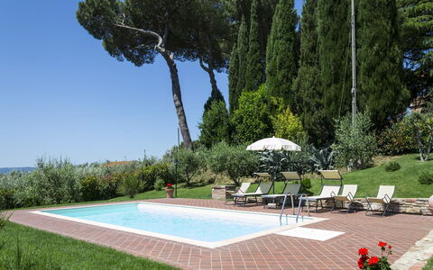 Villa Camelia: Propiedad, Árbol, Hierba, Césped, Bienes Raíces, Paisaje, Paisajismo, Parque, Jardín, Arquitectura