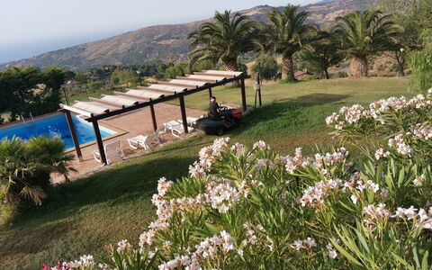 Villa Ivoni: Flor, Planta, Cielo, Montaña, Planta De La Comunidad, Botánica, Árbol, Entorno Natural, Paisaje Natural, El Terreno Del Lote