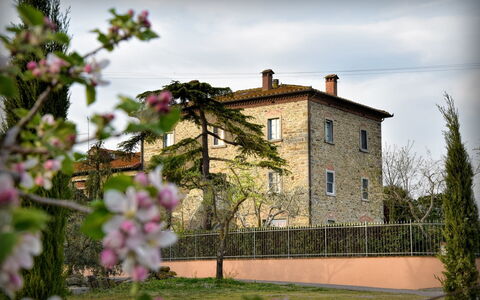 Villa Il Palazzo: Flor, Planta, Cielo, Nube, Edificio, Ventana, Casa, Pétalo, Hierba, Pared