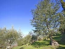 Appartamento Margherita