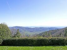 Panoramic view