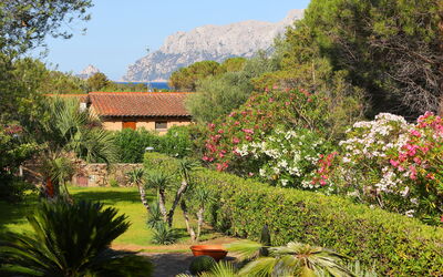 Dalila - Olbia, Cerdeña, Italia