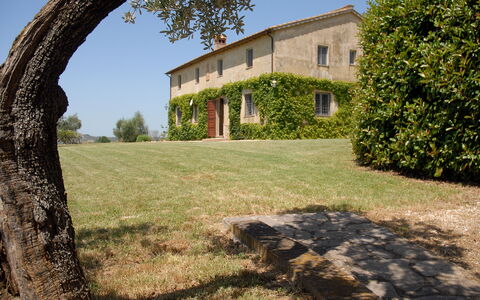 Podere San Giovanni: Cielo, Planta, Propiedad, Edificio, Ventana, Paisaje Natural, Sombra, Árbol, El Terreno Del Lote, Luz De Sol