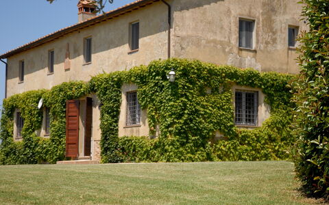 Podere San Giovanni: Planta, Edificio, Ventana, Propiedad, Cielo, Vegetación, El Terreno Del Lote, Hierba, Cabaña, Casa