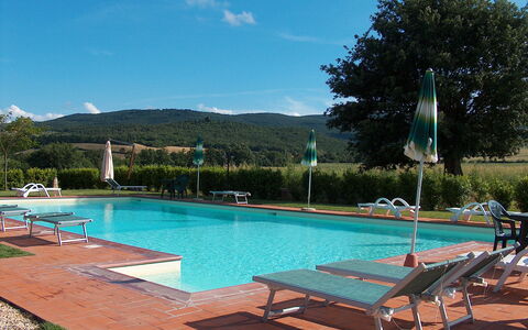 Bazzani Apartments In Siena: Agua, Cielo, Planta, Propiedad, Mueble, Piscina, Nube, Azur, Sunlounger, Árbol