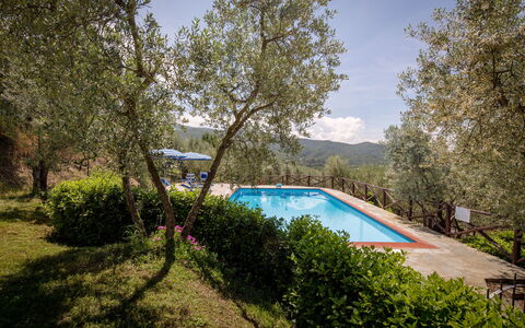 Villa Le Capanne: Propiedad, Piscina, Bienes Raíces, Casa, Árbol, Arquitectura, Inmuebles, Barrio Residencial, Casa, Edificio