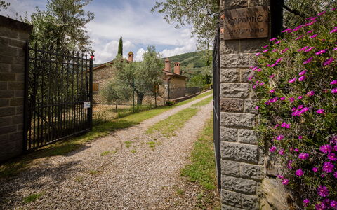Villa Le Capanne: Vegetación, Flor, Primavera, Pared, Árbol, Hierba, Planta, Arbusto, Casa, Botánica