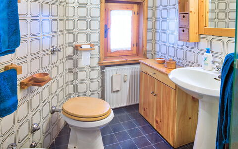 The Twins Apartment - Champoluc: Baño, Propiedad, Habitación, Azul, Diseño De Interiores, Loseta, Casa, Asiento Del Baño, Bienes Raíces, Suelo