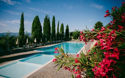 Fattoria Fronzano: Agua, Flor, Cielo, Nube, Planta, Propiedad, Piscina, Árbol, Paisaje Natural, Arecales