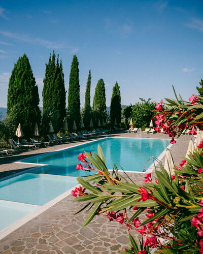 Fattoria Fronzano: Agua, Flor, Cielo, Nube, Planta, Propiedad, Piscina, Árbol, Paisaje Natural, Arecales
