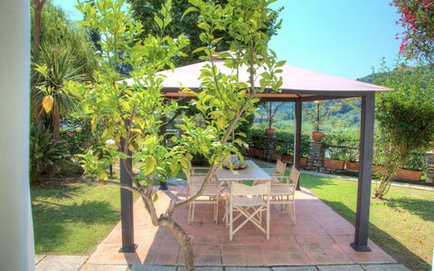 Casa Del Sole - San Bartolomeo Al Mare: Propiedad, Bienes Raíces, Árbol, Patio Interior, Casa, Yarda, Patio, Edificio, Jardín, Planta