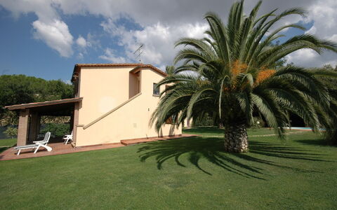 Poderino: Propiedad, Palmera, Casa, Hierba, Arecales, Árbol, Casa, Bienes Raíces, Attalea Speciosa, Edificio