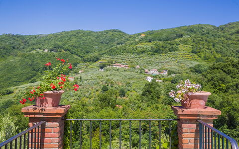Villa Roncovisi: Vegetación, Propiedad, Árbol, Reserva Natural, Hoja, Botánica, Jardín, Colina, Bienes Raíces, Casa