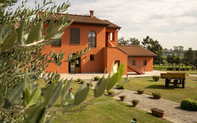 Incanto Toscano - Larciano, Toscana, Italia - Grano