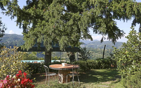 La Castagnara: Propiedad, Árbol, Bienes Raíces, Casa, Mesa, Cabaña, Plantas Leñosas, Planta, Jardín, Edificio