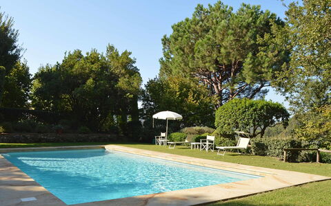 Compignano Barn: Piscina, Propiedad, Casa, Ocio, Bienes Raíces, Casa, Inmuebles, Edificio, Árbol, Patio Interior