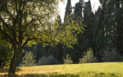 Villa Dorella Di Montaperti