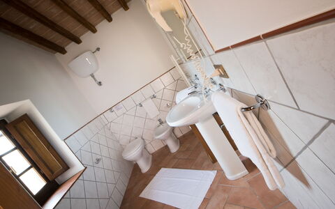 Alojamiento:&nbsp;Suite 209