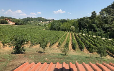 Il Sogno Tra i Vigneti