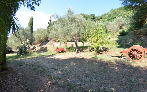 Collina Lagomare: Propiedad, Paisaje Natural, Árbol, Biome, Área Rural, Paisaje, Hierba, Planta De La Comunidad, El Terreno Del Lote, Planta