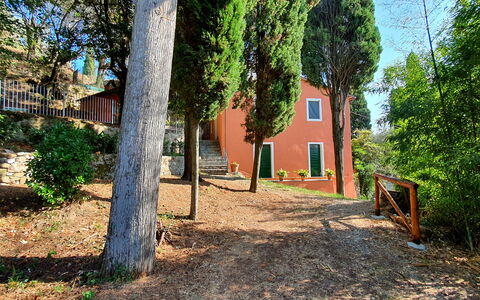 Collina Lagomare: Planta, Ventana, Edificio, Árbol, Rama, Madera, El Terreno Del Lote, Luz De Sol, Casa, Superficie De La Carretera