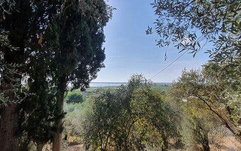 Collina Lagomare: Cielo, Planta De La Comunidad, Planta, Paisaje Natural, Nube, Vegetación, Árbol, Ramita, Madera, El Maletero