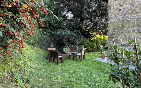 Batticapo di Ilaria: Planta, Planta De La Comunidad, Hoja, Flor, Paisaje Natural, Hierba, Árbol, Biome, Arbusto, Cobertura Del Suelo