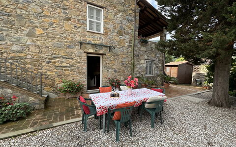 Casa Max: Planta, Edificio, Ventana, Mesa, Superficie De La Carretera, Casa, Árbol, Mueble Para Exteriores, Madera, Mesa Al Aire Libre