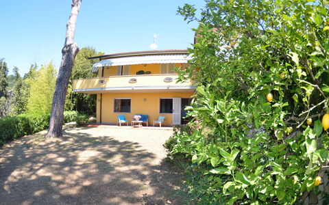 Il Corbezzolo: Propiedad, Casa, Bienes Raíces, Edificio, Casa, Cabaña, Árbol, Villa, Inmuebles, El Terreno Del Lote