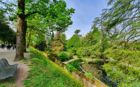 Casina Bella Di Lucca: Hoja, Vegetación, Arbusto, Cobertura Del Suelo, Jardín, Plantas Leñosas, Sendero, Pasarela, Jardín Botánico, Bosque