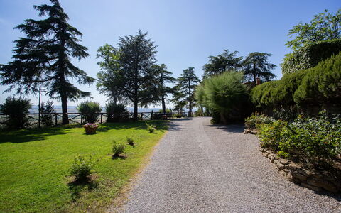 Villa i Cocciai: Árbol, Naturaleza, Vegetación, Entorno Natural, Cielo, Hierba, Desierto, Jardín, Botánica, La Carretera