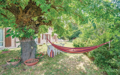 Ca Maggetti: Naturaleza, Árbol, Verde, Vegetación, Paisaje Natural, Botánica, Hoja, Plantas Leñosas, Planta