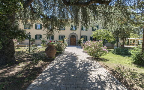 Villa Ivana - Cortona: Propiedad, Casa, Edificio, Árbol, Inmuebles, Bienes Raíces, Casa, Arquitectura, Cielo, Barrio Residencial